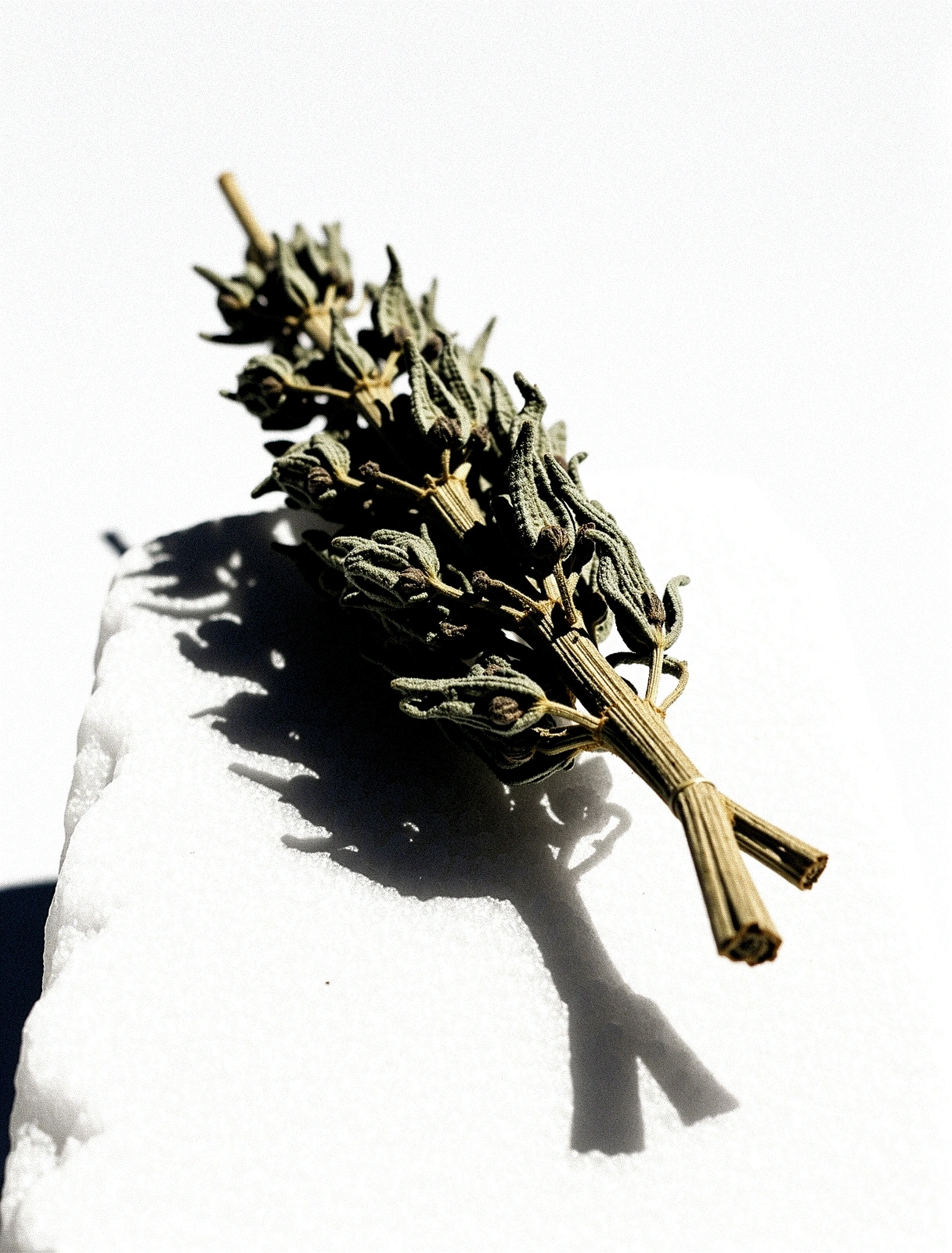 Clinical Purity