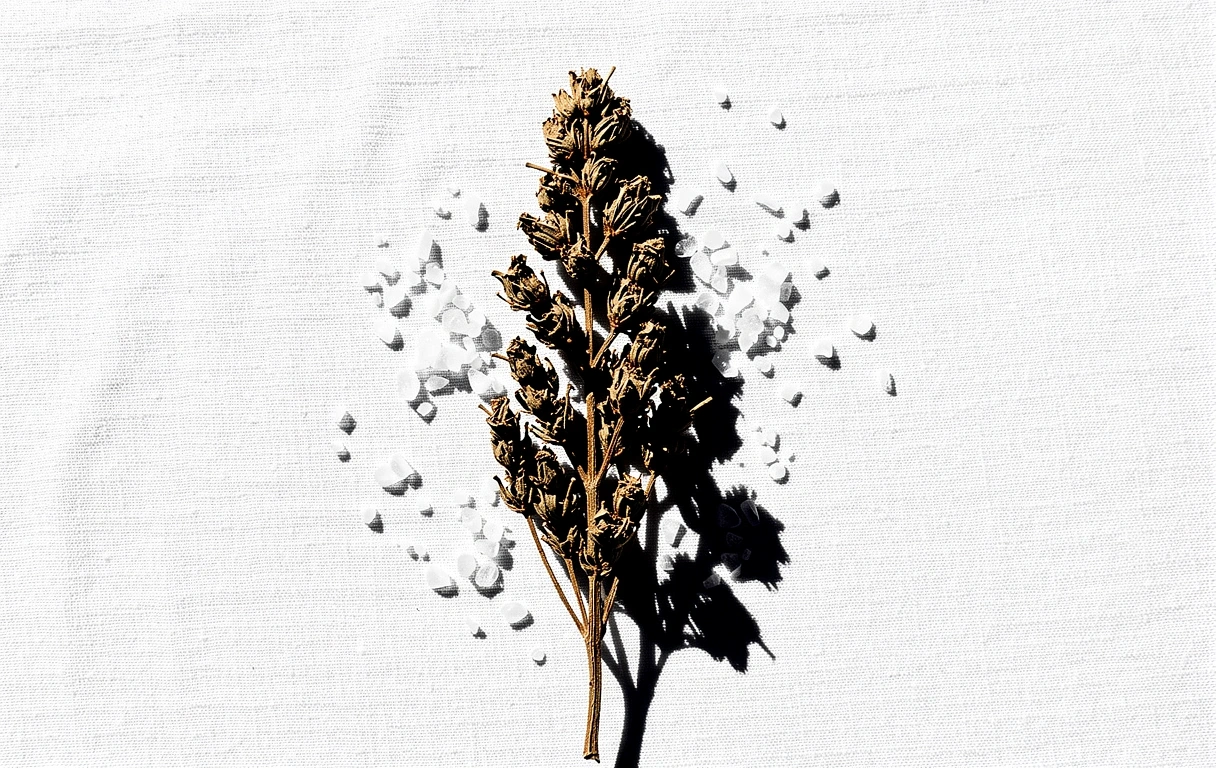 Nature Decoded